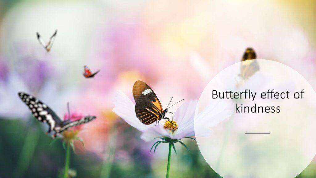 Butterfly-effect-of-kindness